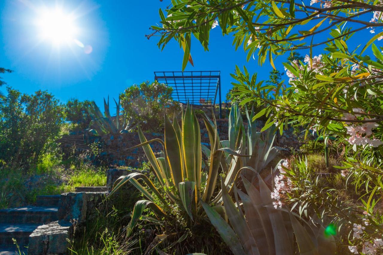 Giardino Sul Mare House - Levanto Sea View Dış mekan fotoğraf